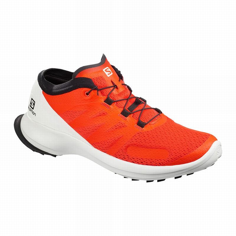 Salomon SENSE FLOW - Mens Trail Running Shoes - Orange - NZ (03512-VTGF)